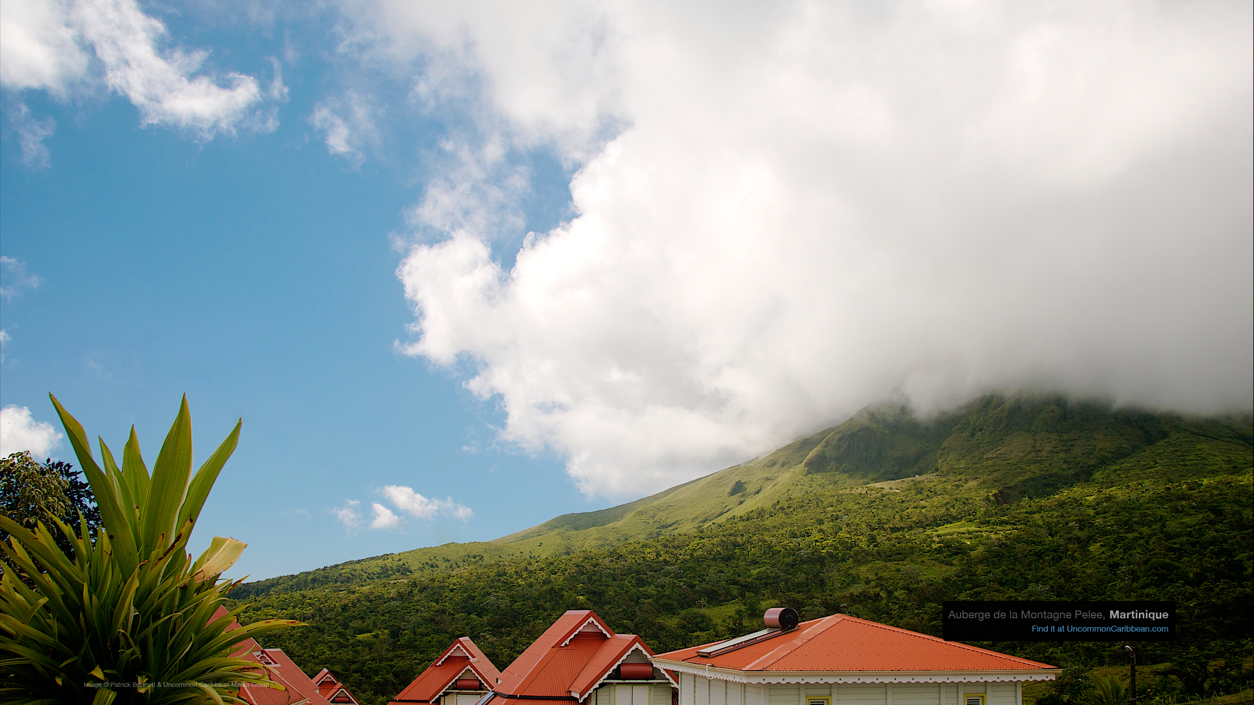 Caribbean Wallpaper Wednesday Auberge De La Montagne Pelee