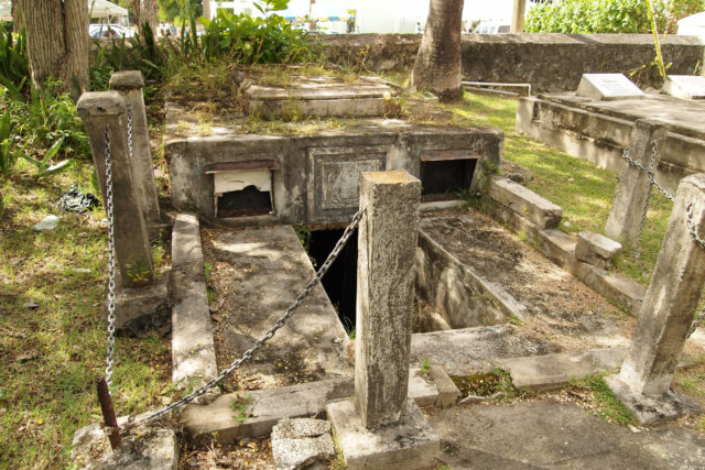 Beware The Mystical Silk Cotton Tree: Haunted Caribbean