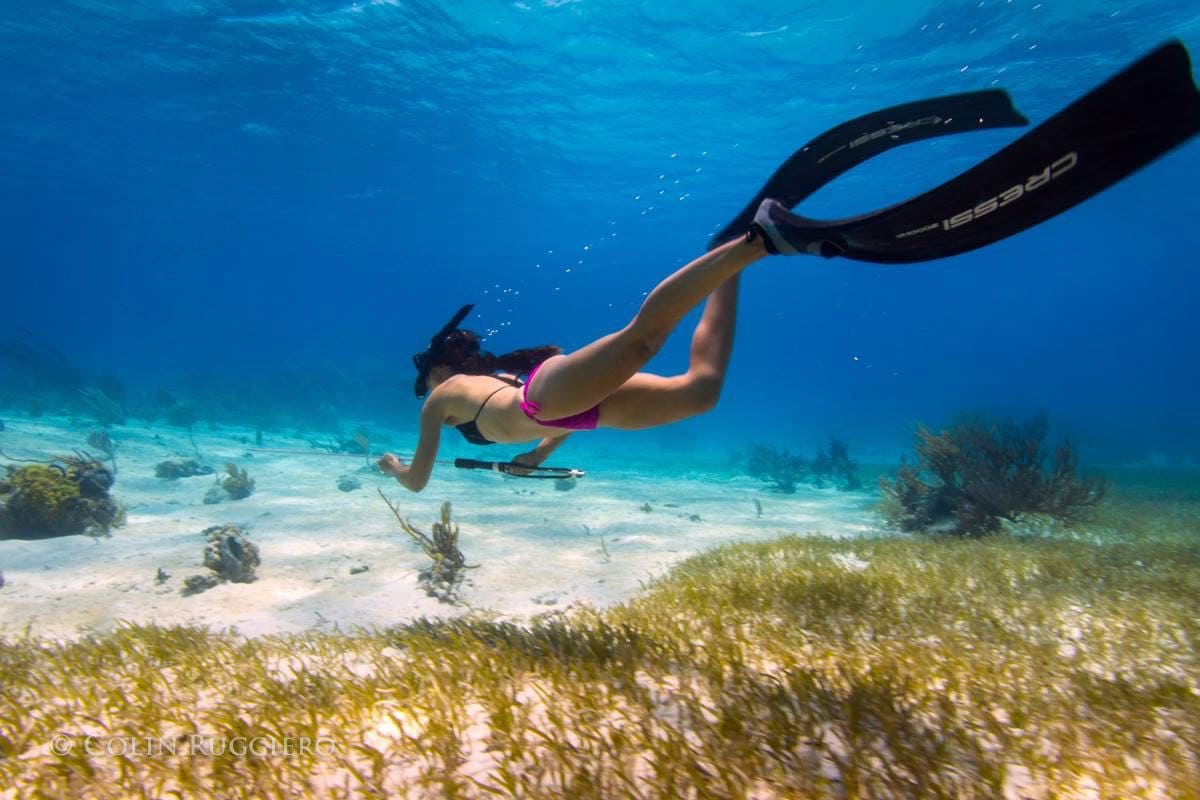 Bahamas Spearfishing – A Quick Guide of Do's and Don'ts