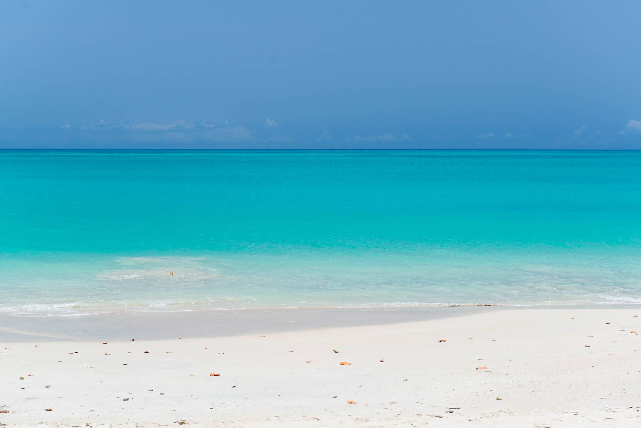 Antigua Nude Beach - Eden Beach | Uncommon Caribbean