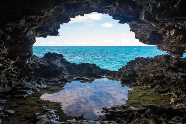 The Animal Flower Cave Barbados Uncommon Caribbean   DSC 6916 640x427 