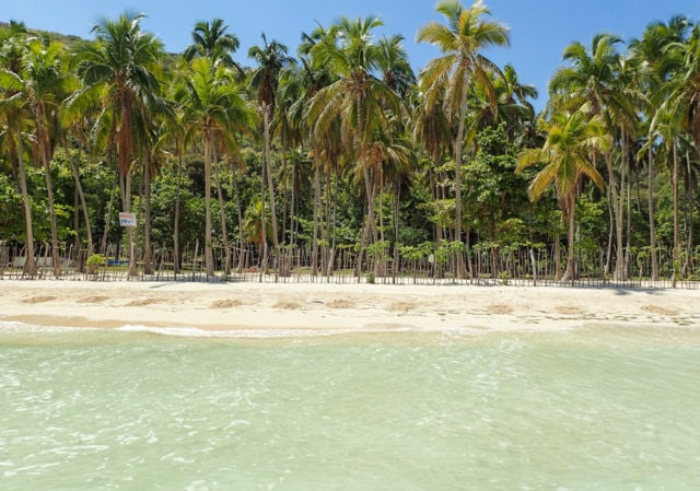 Look Up As You Leave The Water at Bananier Beach, Haiti