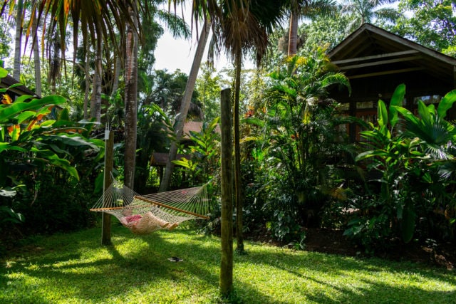 Hammock Time in Negril