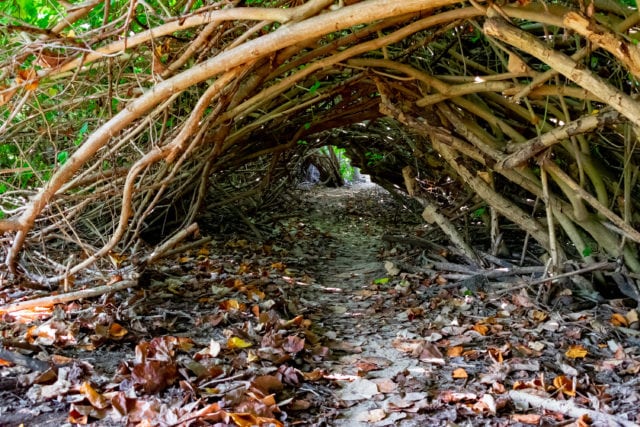 Discover Shoys Beach St. Croix: A Hidden Gem in the Caribbean