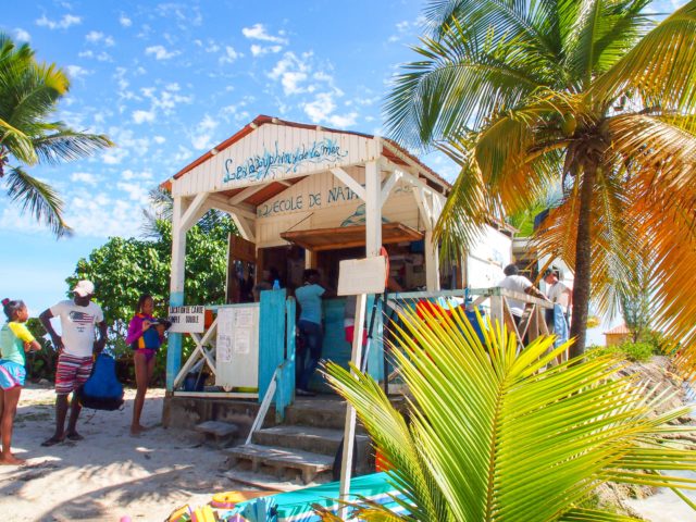 Les Dauphins de la Mer Swim School, Guadeloupe