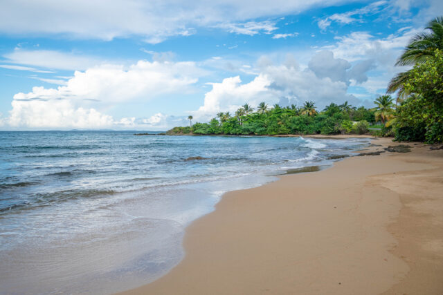 Playa El Gallito, Vieques – The Gringo Beach That Really Isn't